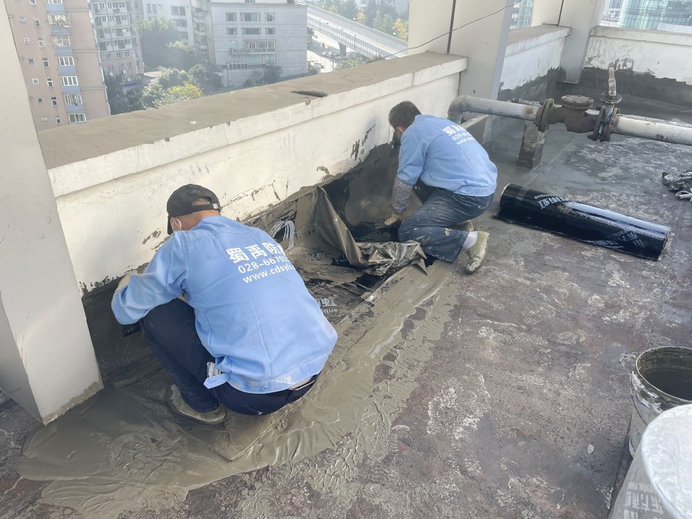 四川省人民代表大會常務委員會2號樓4樓裙樓屋面及8樓屋頂防水工程